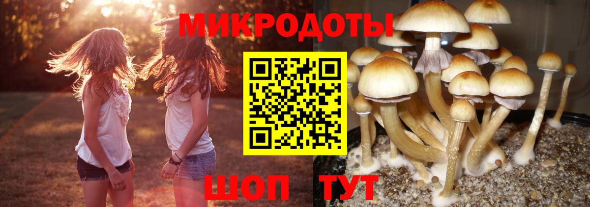 Псилоцибиновые грибы Magic Shrooms  Вход с VPN  Псилоцибиновые грибы Magic Shrooms  Норильск 