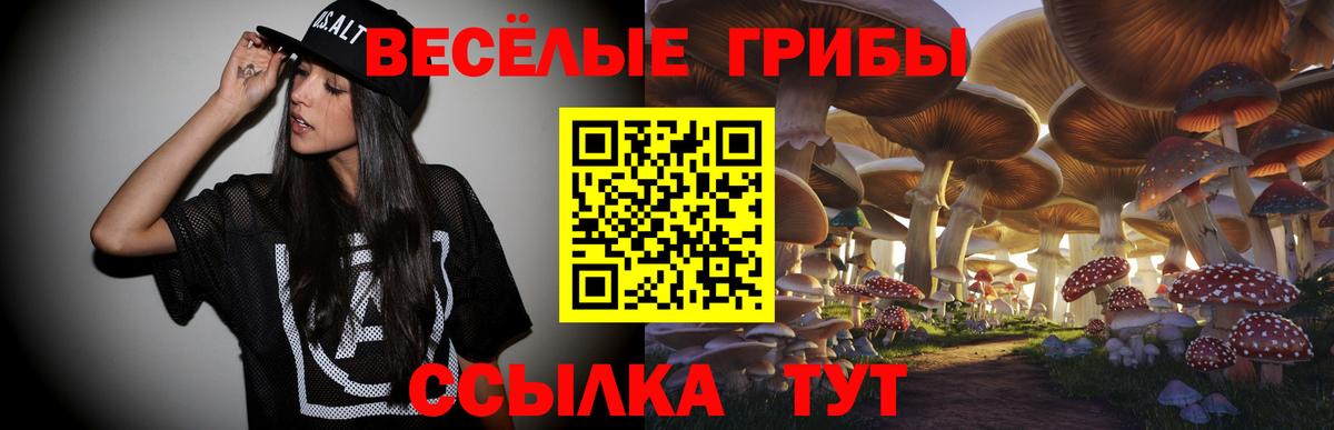 Псилоцибиновые грибы Psilocybine cubensis Норильск